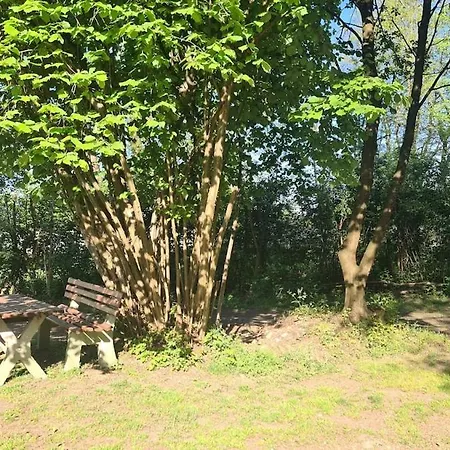 Sauna In Forest, Overnight And Enjoy Sauna * Feldkirchen bei Graz